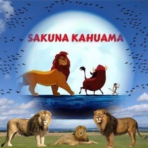 Meet your Posher, Isa